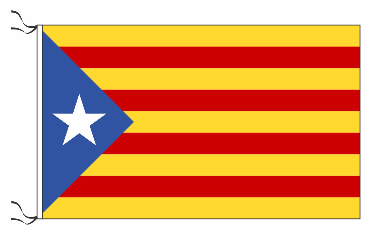 Cataluña independentista medida 45 x 70 cm   art:37408