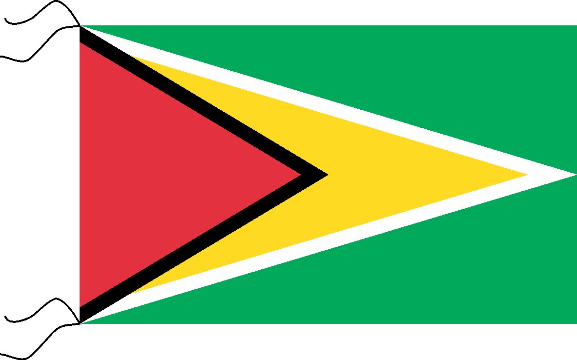 Guyana 200 x 120 cm   art:21089